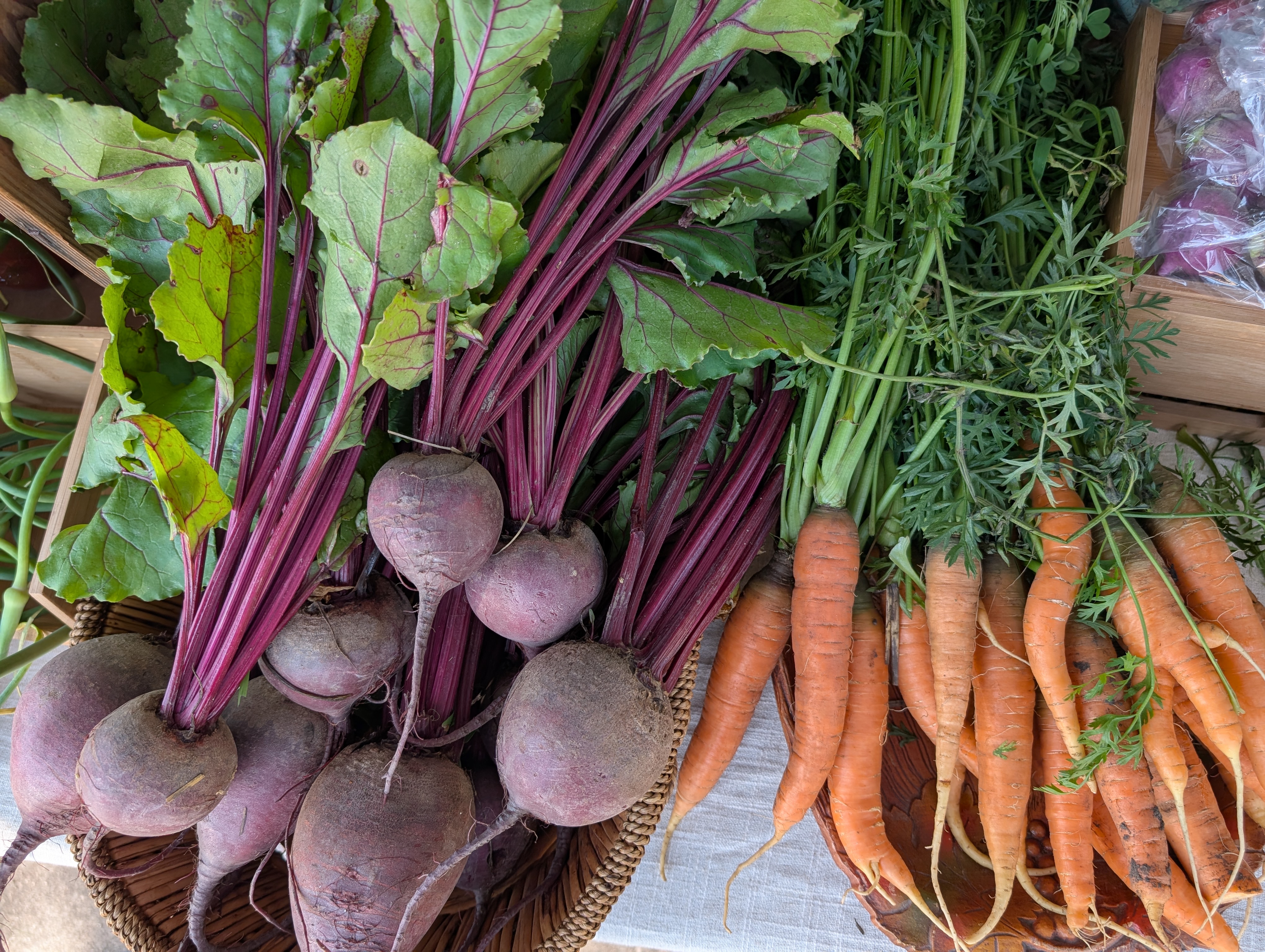 Morris Area Farmers' Market in Morris